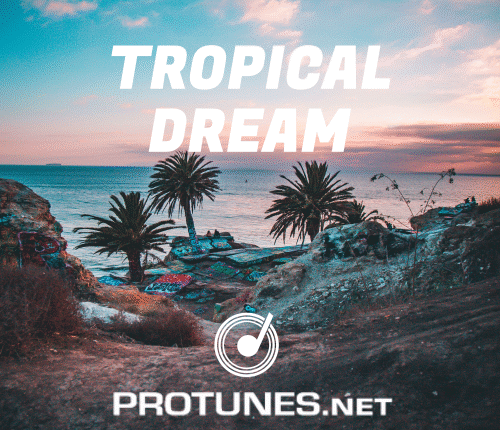 Tropical Dream